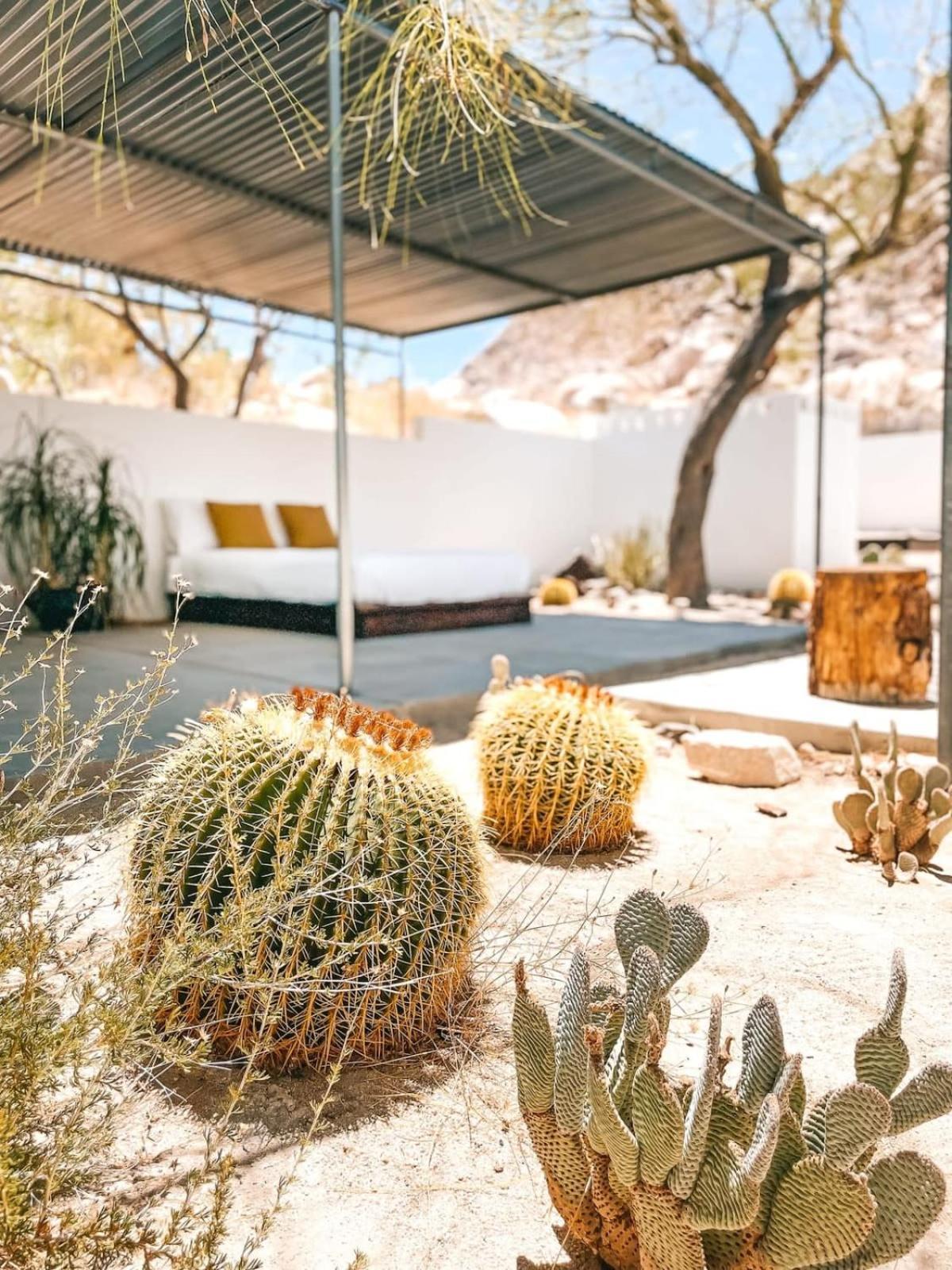 Andrea Zittel'S Joshua Tree Home A Z West House Luaran gambar